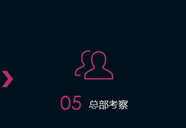 绅美力品牌/OEM/ODM/加盟
