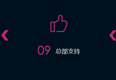 绅美力品牌/OEM/ODM/加盟